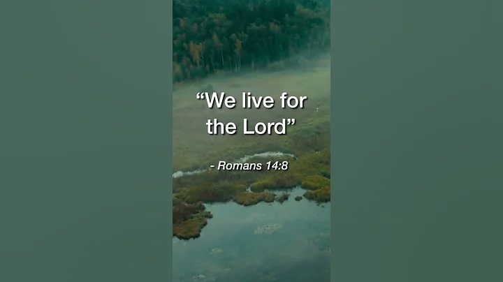 We Live For the Lord | Daily Bible Devotional Romans 14:8