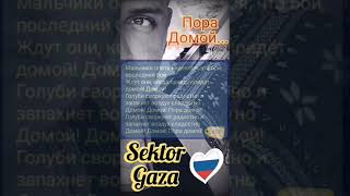 #cover  Сектор Газа - Пора домой (LiRiK) (Я конечно не певец, спел как смог)