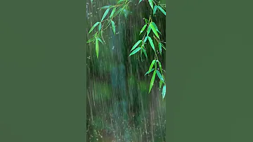 Falling into Deep Sleep Instantly with Forest Beautiful Heavy Rain & Thunder at Night - RainForest