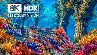 Explore Mesmerizing Ocean Creatures in 8K HDR | Dolby Vision™ screenshot 5