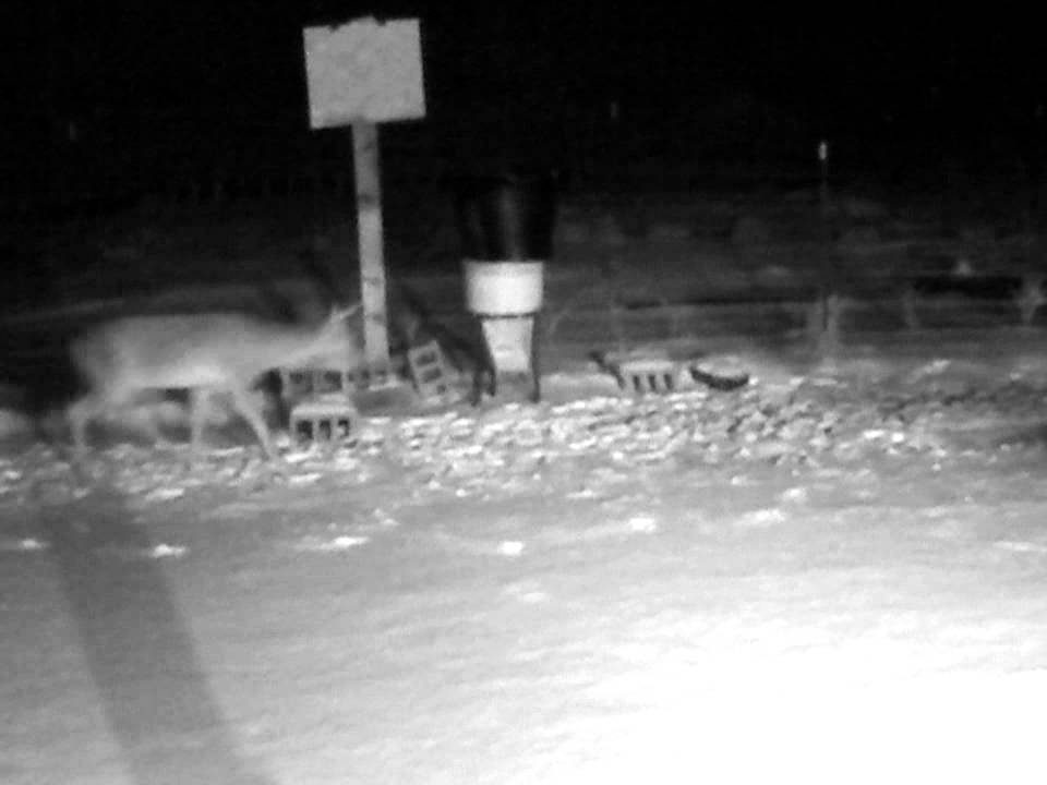 One Horn Sat Feb 25 024212 GMT0500 2012 YouTube