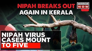 National Nipah Virus Alarm Due To Five Cases In Kerala | Should You Be Worried? | News At 7