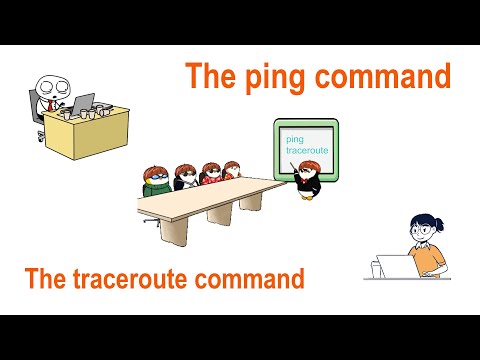 The ping command | The traceroute command | Options and Usages Explained