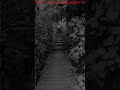 #Shorts #HorrorShorts #ScaryVideo #HorrorVideo #JumpScare #Creepy #ScaryMoments #HorrorEdit