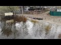 Пляж под водой / половодье / река Волга / поляна Барбошина / 24 апр. 2021 / город Самара / Russia