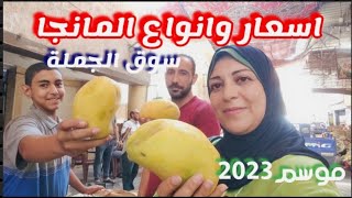 أسعار المانجاةوالفاكهة اليوم|وكالة الحضرة اسكندرية