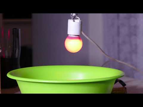 აზიურ ფაროსანასთან ბრძოლის მექანიკური მეთოდები