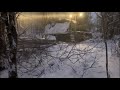 Пробиваем просеку в лесу бульдозером Т 130 Т 170.