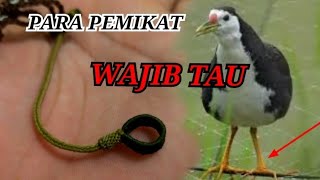 TUTORIAL ‼️ Cara Membuat Tali Kaki Burung