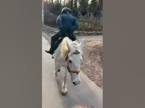 Джигитовка)))) - YouTube