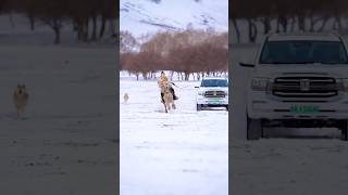 Beautiful Girl Riding A Horse 16