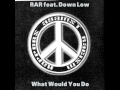Rappers Against Racism What Would You Do Feat Down Low mp3