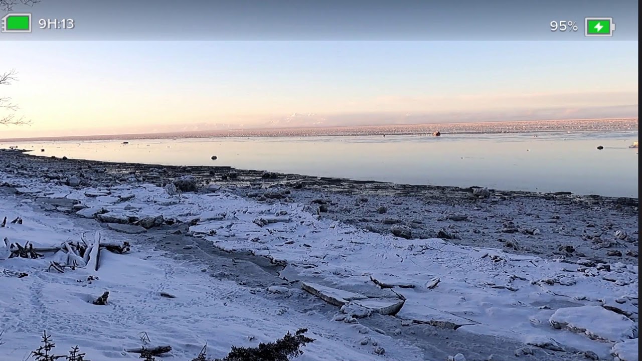 Cook Inlet Alaska Tides 1/14/2024 YouTube