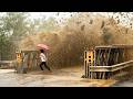 Moments You Must See To Believe! Right Now Around the World 2025