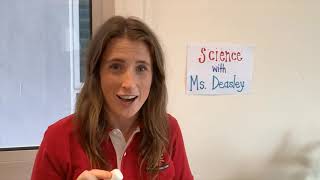 SISKL: Science with Ms Deasley: Marshmallow Tower Challenge