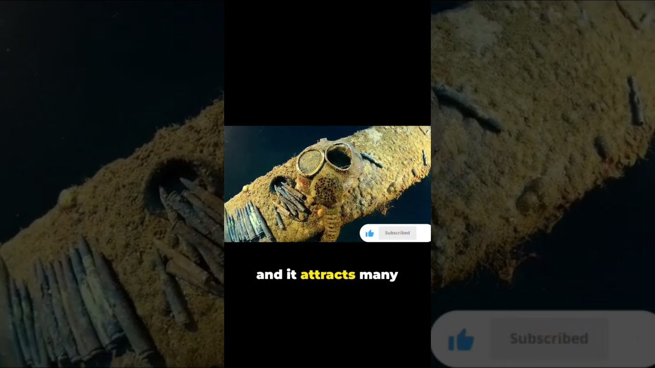 Chuuk Lagoon Micronesia 