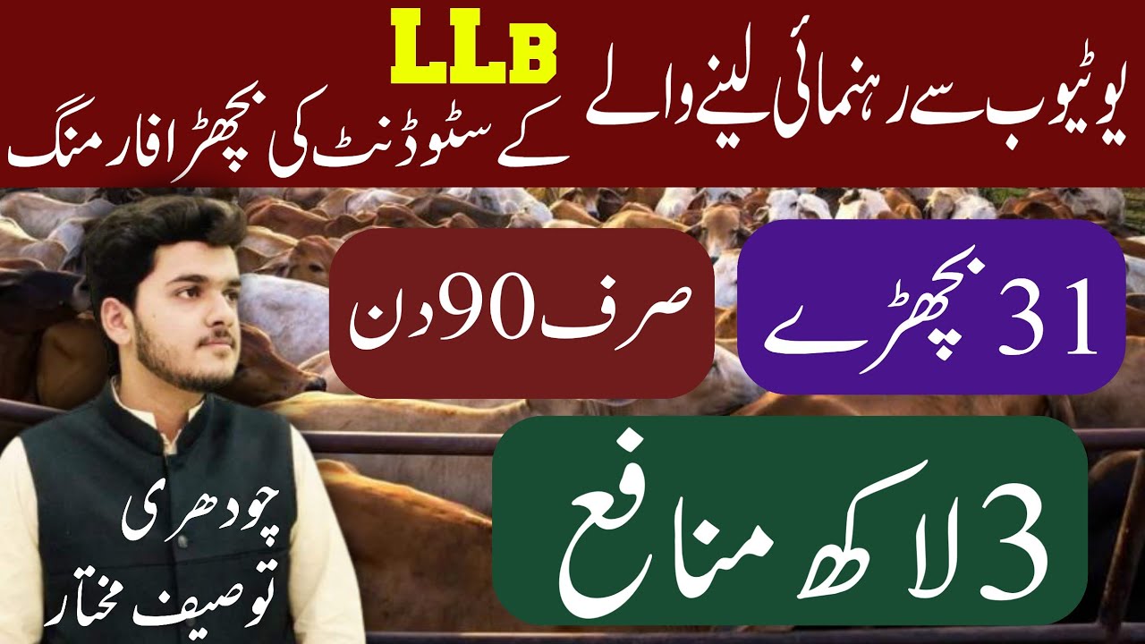 Bachra Farming 3 Month Business Plan 2021 YouTube Bachra Farming 3 Month Business Plan 2021 YouTube