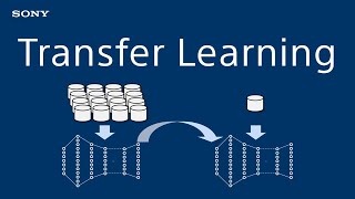 Introduction to Deep Learning : Transfer Learning in Deep Learning