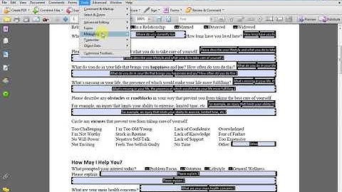How to Make an Interactive Fillable PDF Form Using Adobe Acrobat 8