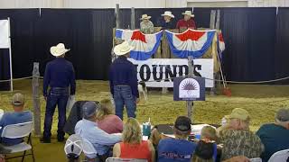 Horses, Hounds and Mules, Hesperus, CO JULY 2025