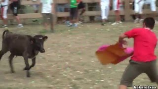 Vaquillas Fiestas Aibar-Oibar 2013