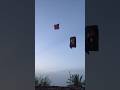 Kite looting😱🪁👆🏻#kite #kites #kiteflying #shorts #short #viralshorts #trending