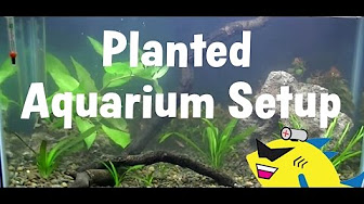 AQUARIUM SETUP / AQUASCAPING / TUTORIALS - YouTube