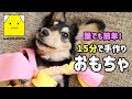Dog toy【犬のおもちゃ】誰でも簡単！犬用おもちゃの作り方を解説/ハンドメイド/手作り/ミニチュアダックス