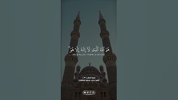 سورة الحشر | #الله #allah #القران_الكريم #القرآن_الكريم #foryou #fy #explore #اكسبلور #المنشاوي #fyp