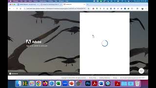 Adobe Express Login
