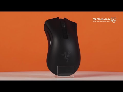 Обзор мыши RAZER DeathAdder V2 Pro | Ситилинк