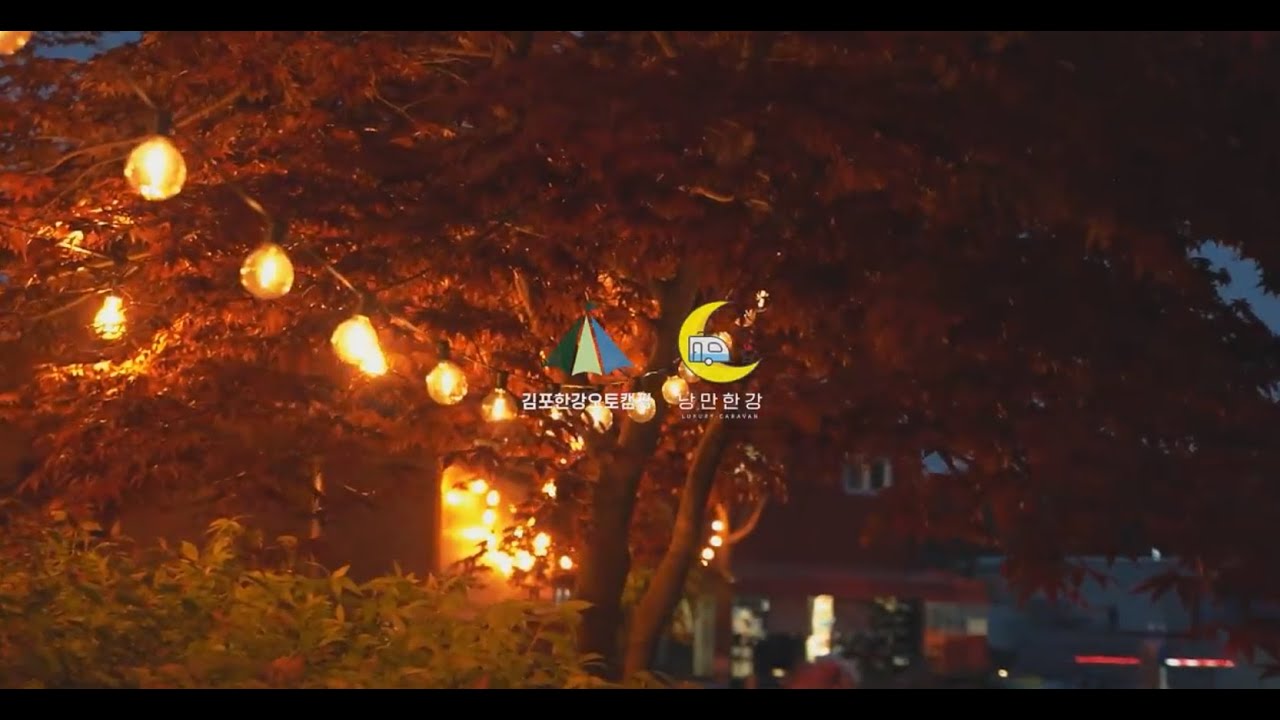 공고 동영상