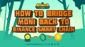 HOW TO TRANSFER MONI TOKEN BACK TO METAMASK on BINANCE SMART CHAIN Guide Tutorial