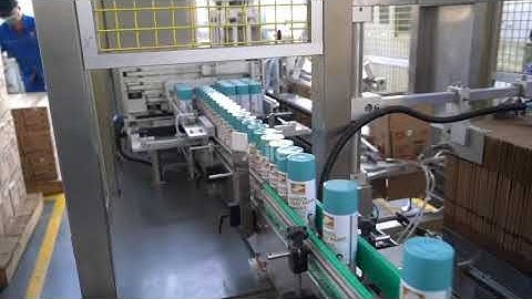 AILE automatic loading sealing all-in-one packaging machine case packer(in customer factory)