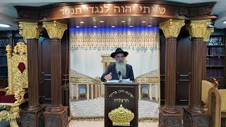 הרב מאיר דוד שמואלי - שידור חי - היום המכריע הגיע