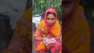 Cousin Er Biya Dawat Roilo