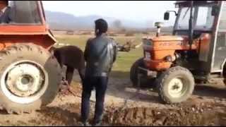 Türk Fiat A 50 ve 480s8 NewHolland td 80 karşı..