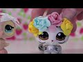 Beginning of video