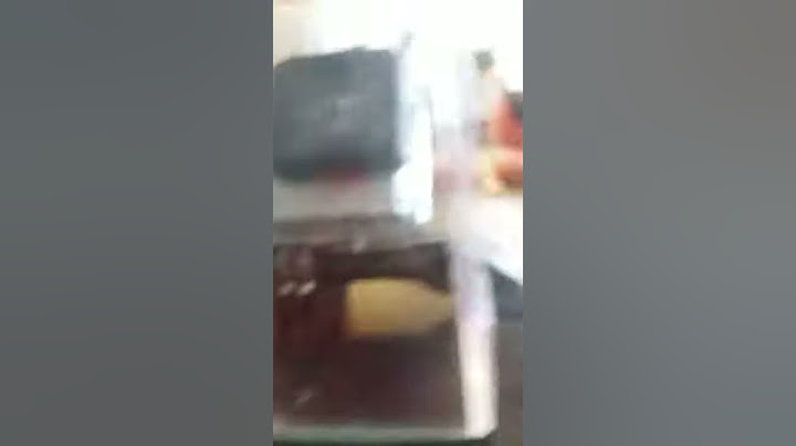 מצלמה לולוגים