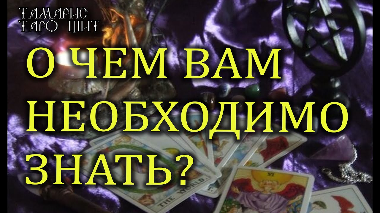 Тамарис таро щит последние расклады