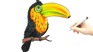 How To Draw Tukanno Bananno Brainrot Step By Step