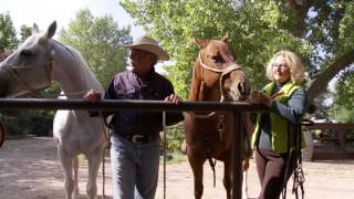 Beyond the Green:  Equestrian Life in Greenwood Village