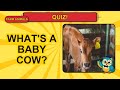 Farm Animals Quiz for Kids! 🐄 Can You Answer All 13? #Shorts