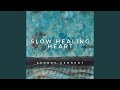 Slow Healing Heart mp3