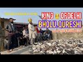 1100 kabutar dadhane Ka Record | bholu Qureshi apna khud hi todenge is season | zordar tayyari 365 k