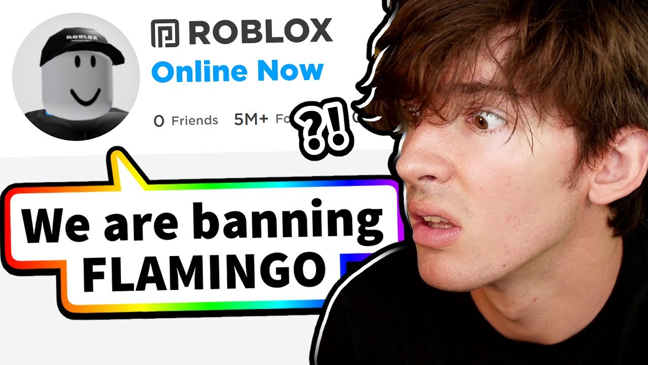 A Roblox Hacker Tried To Get Me Banned Youtube - roblox hacking flamingo