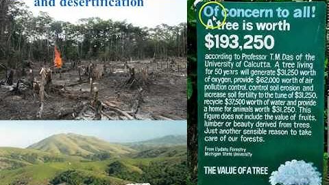 Bio 112 Chapter 18 (Part 2): Introduction to Ecology