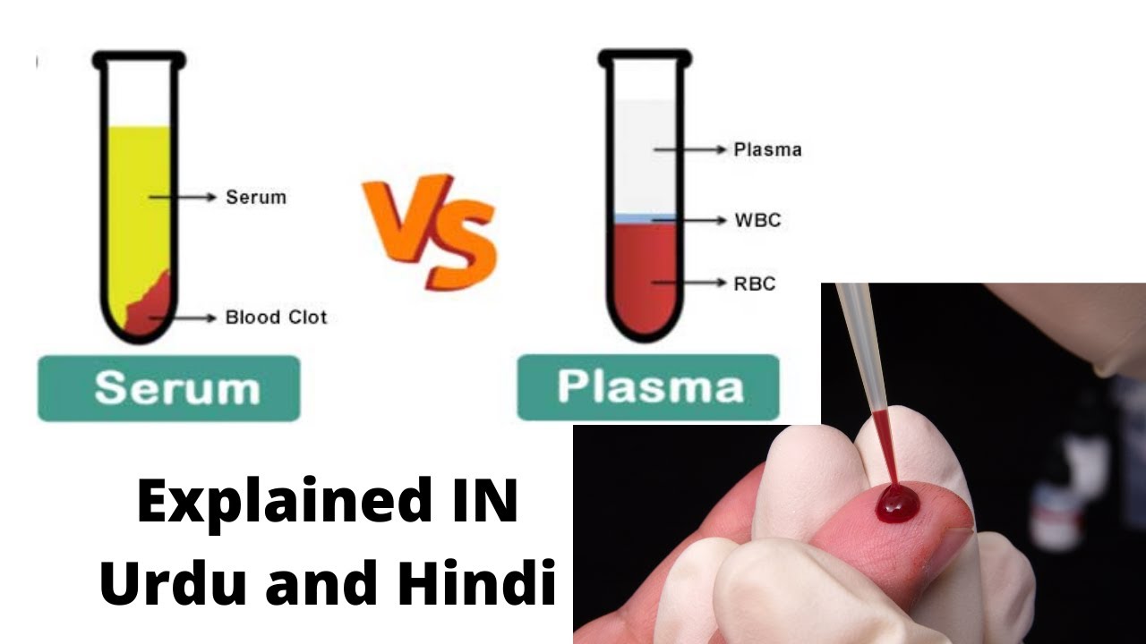 Plasma vs serum | Difference between serum and plasma - YouTube