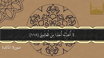 القارئ محمد باسويد ليلة 19