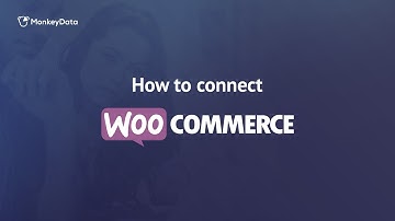 How To Connect Your WooCommerce Store